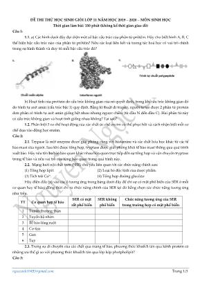 Đề thi thử học sinh giỏi môn Sinh học Lớp 11 - Nguyễn Ngọc